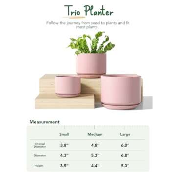 LE TAUCI Ceramic Plant Pots Set - 3 Sizes with Drainage