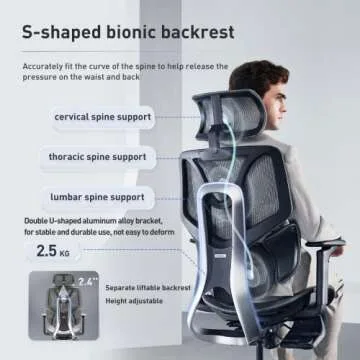 Hbada Ergonomic Office Chair with Elastic Adaptive Lumbar Support, High Back Office Chair with High-Density Mesh, Backrest Height Adjustable Desk Chair with 3D Armrests and Footrest, Black