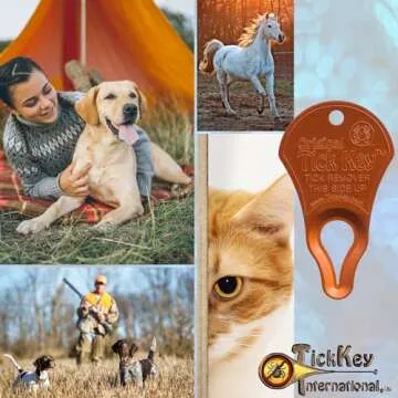 Original Tick Key for Easy, Safe Tick Removal Tool