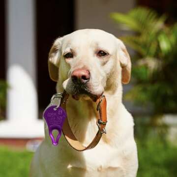 Original Tick Key for Easy, Safe Tick Removal Tool