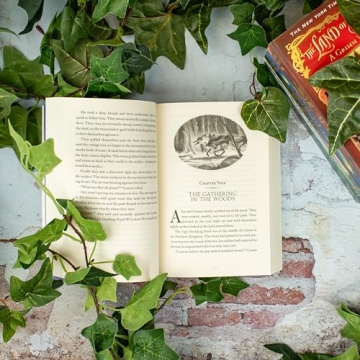 Enchantress Returns Adventure - Land of Stories Book 2