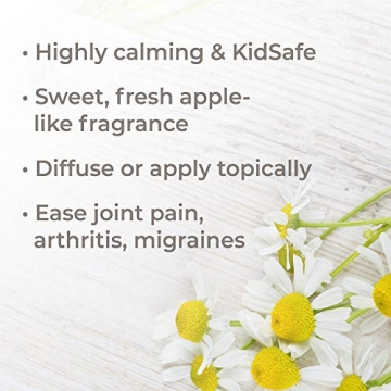 Organic Roman Chamomile Essential Oil - 100% Pure & Natural