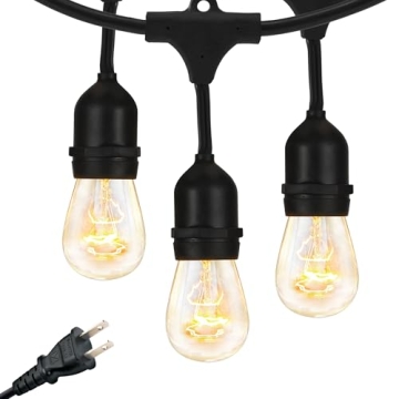 Brightech 48ft Outdoor String Lights - Waterproof Edison Bulbs