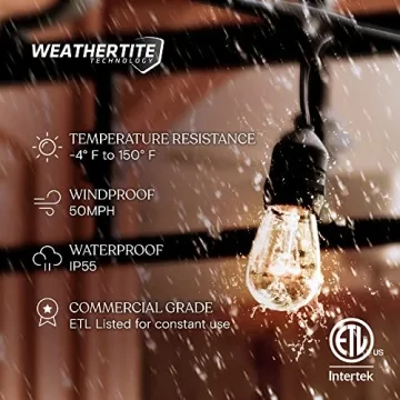 Brightech 48ft Outdoor String Lights - Waterproof Edison Bulbs