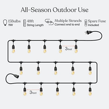 Brightech 48ft Outdoor String Lights - Waterproof Edison Bulbs