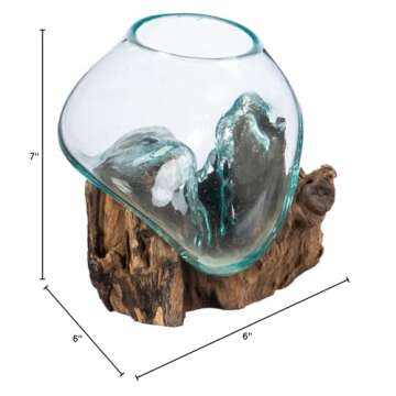 Cape Craftsmen 7-Inches Tall Hand-Blown Blue Tinted Bubble Glass On Natural Teak Driftwood Terrarium | Home Décor Indoor Planter with Stand | Pot for Succulent and Plants