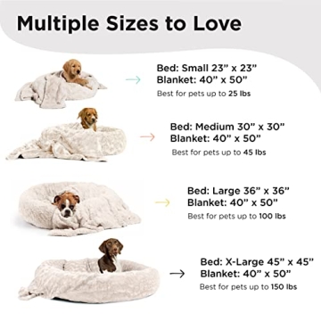 Luxurious Pet Bed and Blanket Set for Cozy Comfort