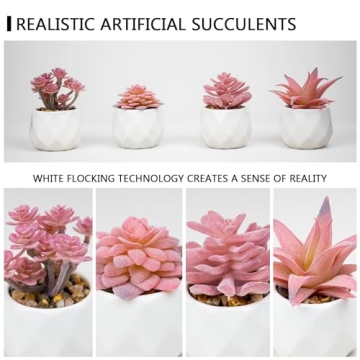 VIVERIE Mini Succulents in Pots-Rose Pink Set of 4