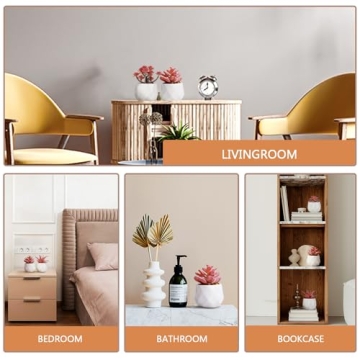 VIVERIE Mini Succulents in Pots-Rose Pink Set of 4