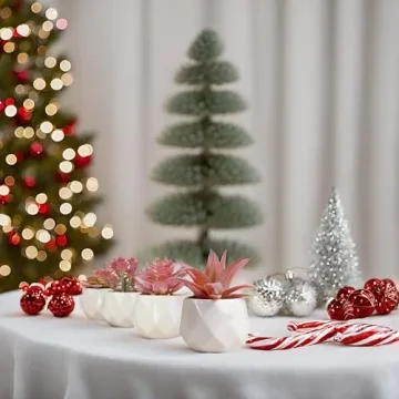 VIVERIE Mini Succulents in Pots-Rose Pink Set of 4