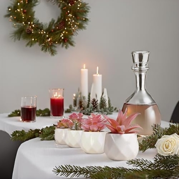 VIVERIE Mini Succulents in Pots-Rose Pink Set of 4