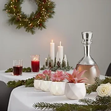 VIVERIE Mini Succulents in Pots-Rose Pink Set of 4