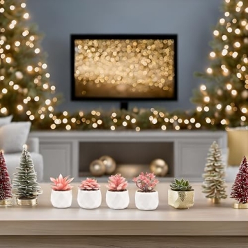 VIVERIE Mini Succulents in Pots-Rose Pink Set of 4