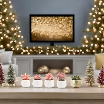 VIVERIE Mini Succulents in Pots-Rose Pink Set of 4