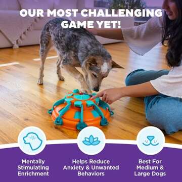 Outward Hound Tower of Treats Level 4 Dog Puzzle - Mental Challenge for Dogs