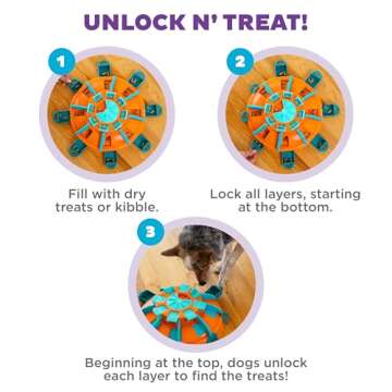 Expert Level Dog Treat Puzzle - Outward Hound