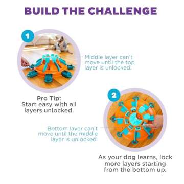 Expert Level Dog Treat Puzzle - Outward Hound