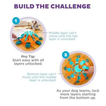 Expert Level Dog Treat Puzzle - Outward Hound