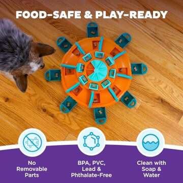Expert Level Dog Treat Puzzle - Outward Hound