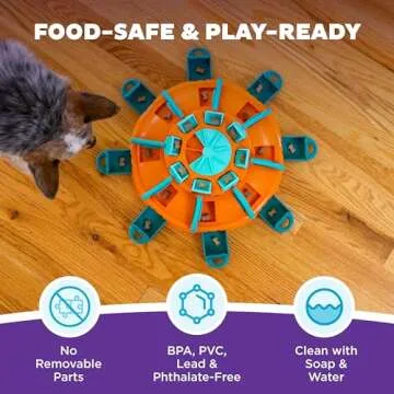 Expert Level Dog Treat Puzzle - Outward Hound