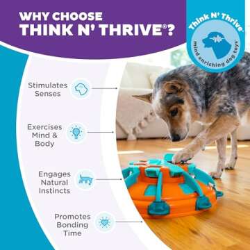 Expert Level Dog Treat Puzzle - Outward Hound