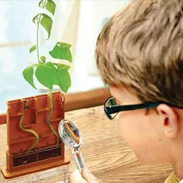 4M Grow-A-Maze Interactive Plant Kit for Kids