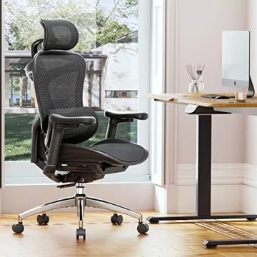 Ergonomic SIHOO Doro C300 Office Chair for Comfort