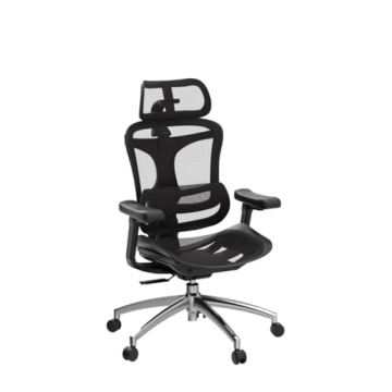 Ergonomic SIHOO Doro C300 Office Chair for Comfort