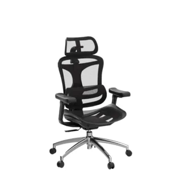 Ergonomic SIHOO Doro C300 Office Chair for Comfort