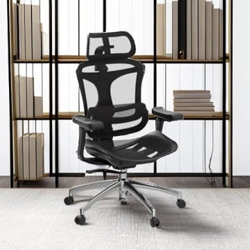 Ergonomic SIHOO Doro C300 Office Chair for Comfort