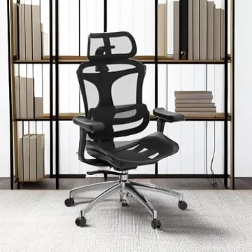 Ergonomic SIHOO Doro C300 Office Chair for Comfort