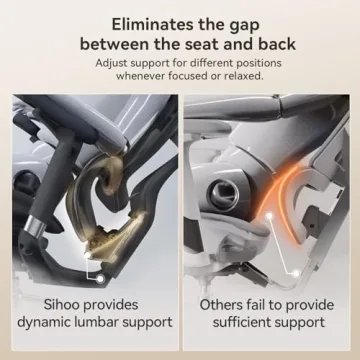 Ergonomic SIHOO Doro C300 Office Chair for Comfort