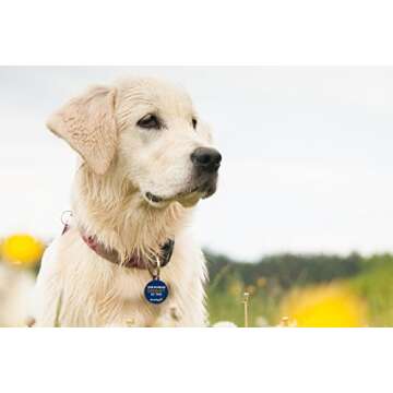 Dynotag Pet ID Smart Tag with Lifetime Recovery Service