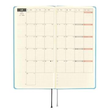 Hobonichi Techo 2025 Weeks MEGA [English/Tall and Slim Size/January Start/Planner] Colors: Lemon Water