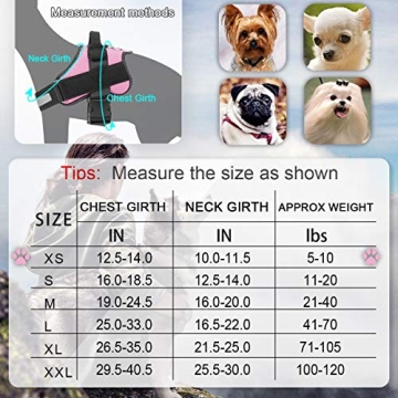 Adjustable No-Pull Dog Harness for Small Dogs in Pink