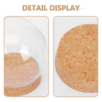 NOLITOY Clear Glass Display Domes for Elegant Decor