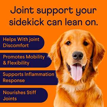Finn Hip and Joint Supplement for Dogs | Glucosamine, Chondroitin & MSM for Joint and Mobility Suppo...
