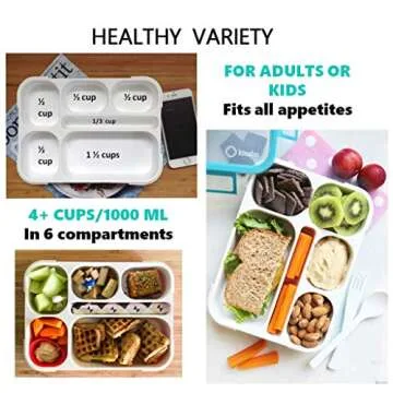 Bento Lunch Box Kids & Adult: Leakproof Containers for Boys & Girls with 6 Compartments - School, Daycare, Meal Planning Portion Control Container, BPA-Free Boxes, Utensils, Blue & Pink Set