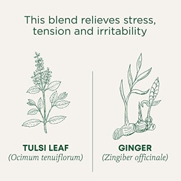 Organic Tulsi & Ginger Tea for Relaxation and Wellness