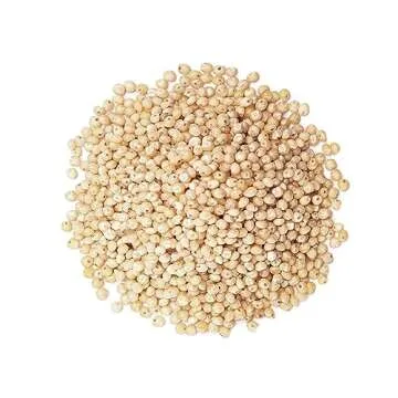 Food to Live Organic Whole Grain Sorghum, 1 Pound — Non-GMO White Groats. Raw Milo Seeds. Vegan, Bulk Broom-corn. Durra is Great for Making Flour and Popped Jowar Dhani