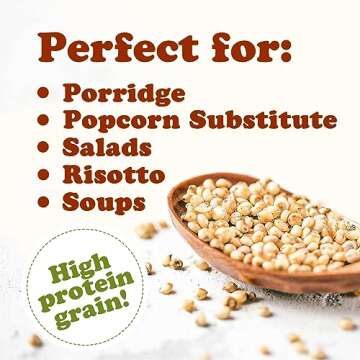 Food to Live Organic Whole Grain Sorghum, 1 Pound — Non-GMO White Groats. Raw Milo Seeds. Vegan, Bulk Broom-corn. Durra is Great for Making Flour and Popped Jowar Dhani