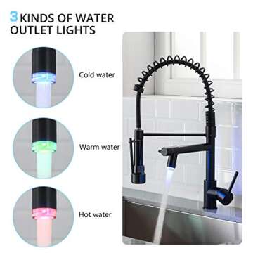 AIMADI Kitchen Faucet,Black Kitchen Faucet,Commercial Kitchen Faucet with Sprayer Single Handle Sing...