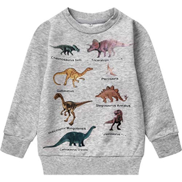 Akyzic Baby Boys Dinosaur Sweatshirt Fleece Long Sleeve Crewneck Pullover Toddler Kids Dino Shirt Wa...