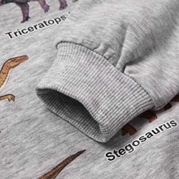 Cozy Akyzic Dinosaur Sweatshirt for Boys | Soft & Stylish