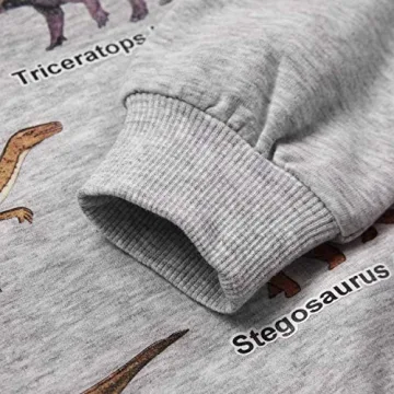 Cozy Akyzic Dinosaur Sweatshirt for Boys | Soft & Stylish