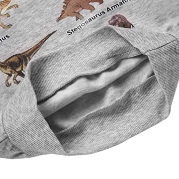 Cozy Akyzic Dinosaur Sweatshirt for Boys | Soft & Stylish