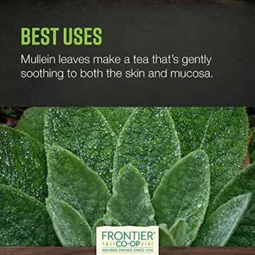 Frontier Co-op Organic Mullein Leaf for Tea and Remedies
