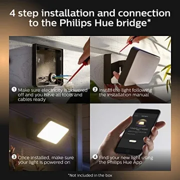 Philips Hue Discover Outdoor Smart Flood Light - Color Ambiance