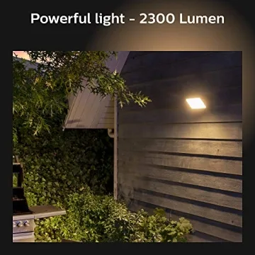 Philips Hue Discover Outdoor Smart Flood Light - Color Ambiance