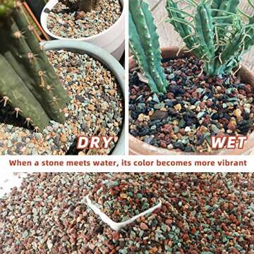 7lb Mix Horticultural Lava Rock Pebbles Pumice Potting Soil Amendment Succulent Cactus Bonsai Gritty Rock Decorative Gravel Plant Drainage Volcanic Rock for Aquarium Fairy Gardening Top Dressing
